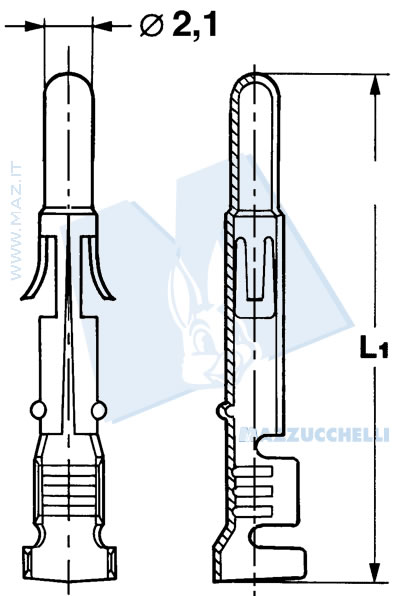 disegno tecnico Terminali maschio di massa tipo 
